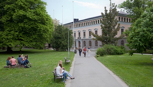 Estudiar un LLM en Suecia, pero en inglés