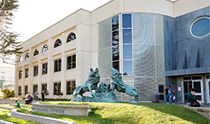 ¿LLM Tributario, de Propiedad Intelectual o Derecho Comparado?